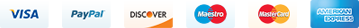 Visa, PayPal, Stripe, American Express